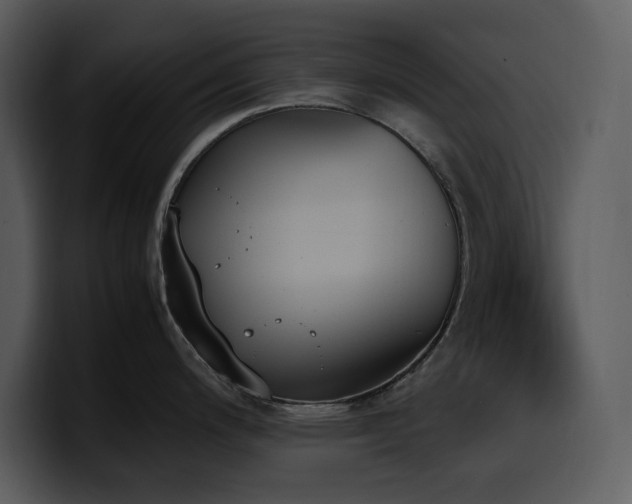 X0000100771200200806191235