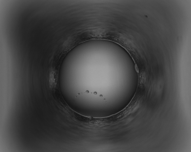 X0000100771202200806191234