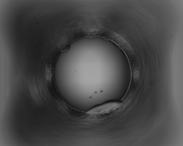 X0000100771204200806191234