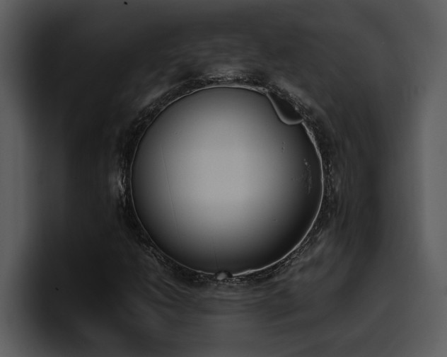X0000100771206200806191234