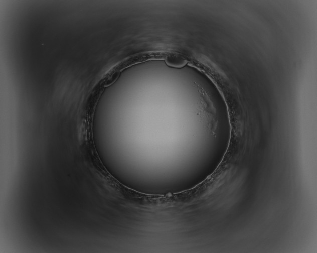 X0000100771208200806191234