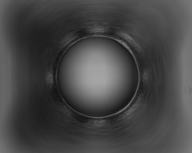 X0000100771209200806191234