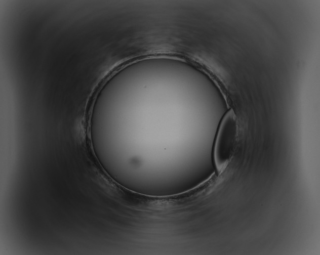 X0000100771212200806191234