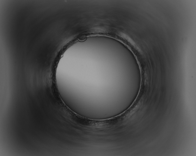 X0000100771213200806191234