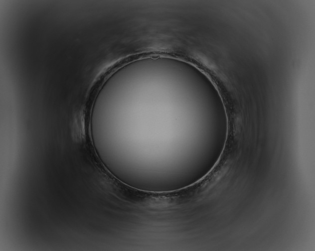 X0000100771214200806191234
