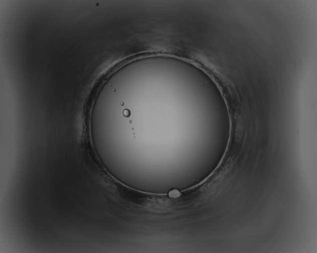 X0000100771215200806191234