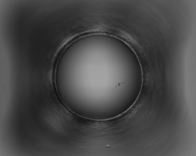 X0000100771216200806191234