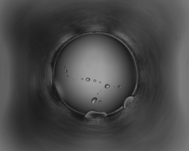 X0000100771219200806191234