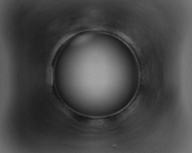 X0000100771223200806191234