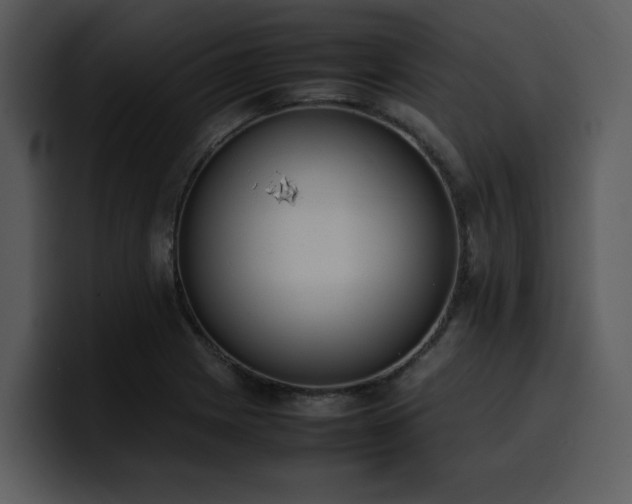 X0000100771225200806191234