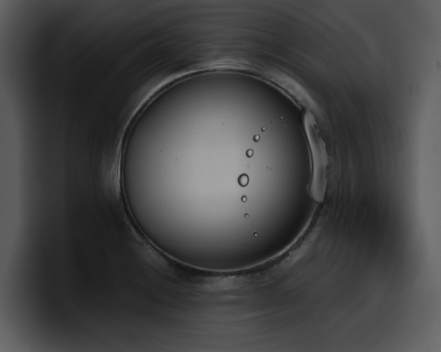 X0000100771228200806191234