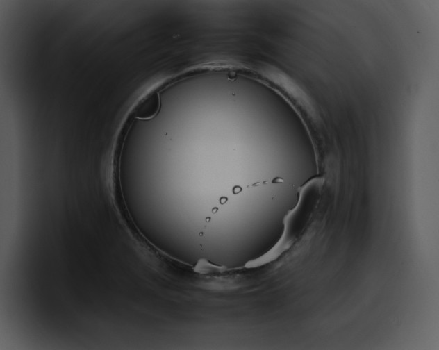 X0000100771229200806191234
