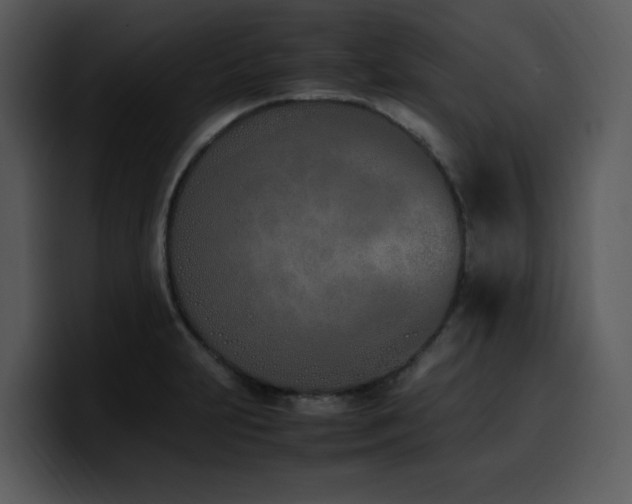 X0000100771231200806191234
