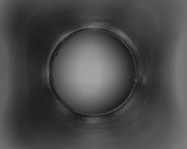 X0000100771232200806191234