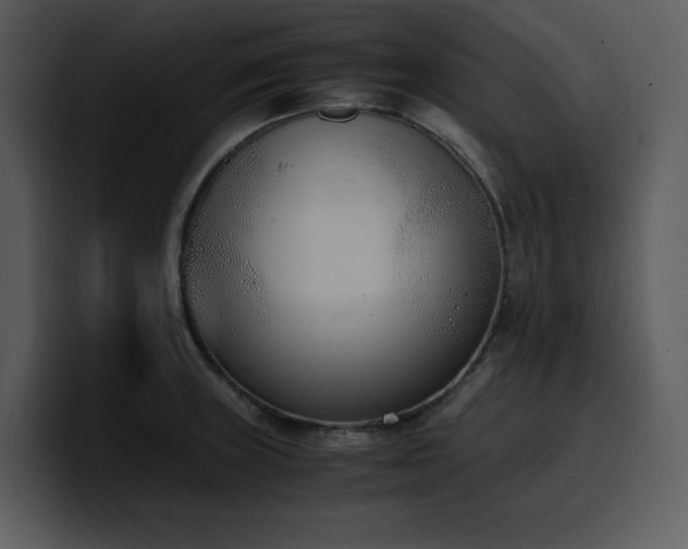 X0000100771235200806191234