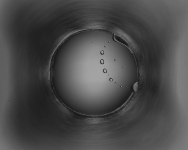 X0000100771236200806191234