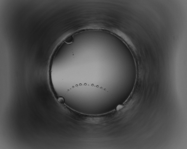 X0000100771237200806191234