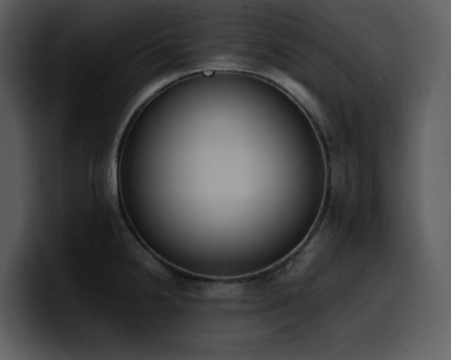 X0000100771238200806191234