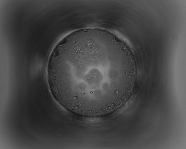 X0000100771239200806191234