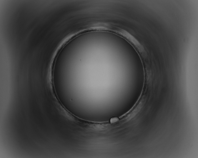 X0000100771240200806191234