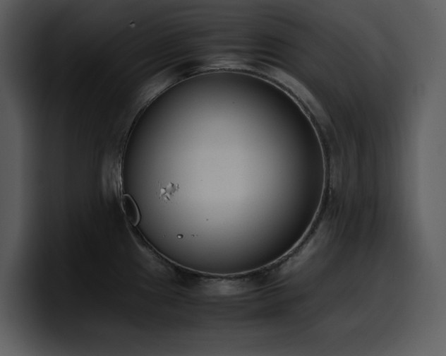 X0000100771241200806191234