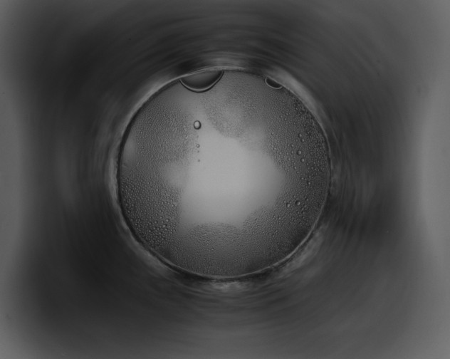 X0000100771243200806191234