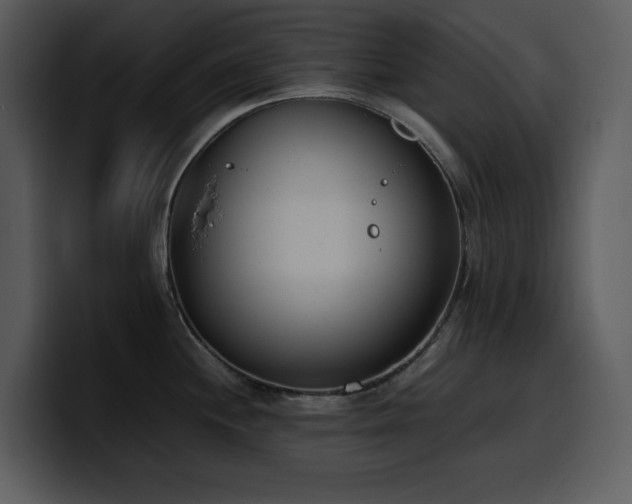 X0000100771244200806191234