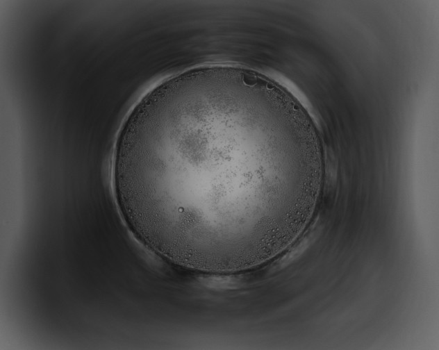 X0000100771245200806191234