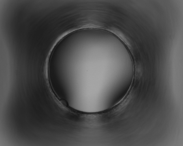 X0000100771246200806191235
