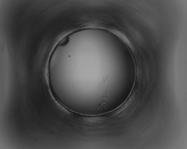 X0000100771247200806191235