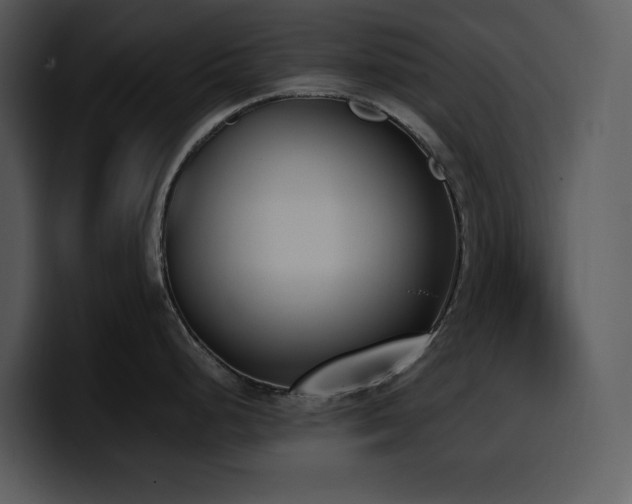 X0000100771248200806191235
