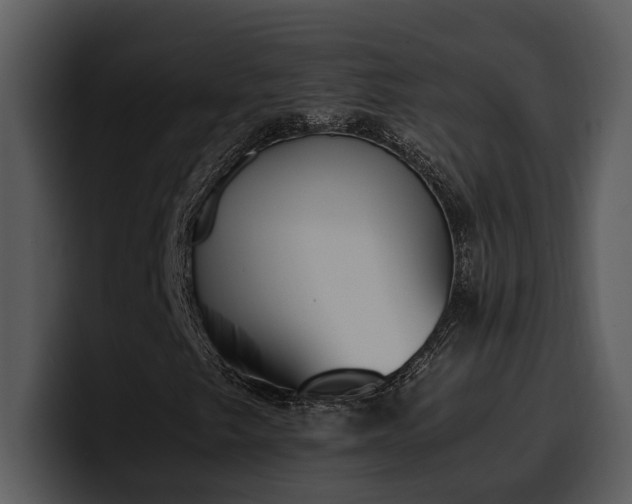 X0000100771249200806191234