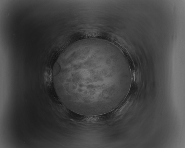X0000100771251200806191234