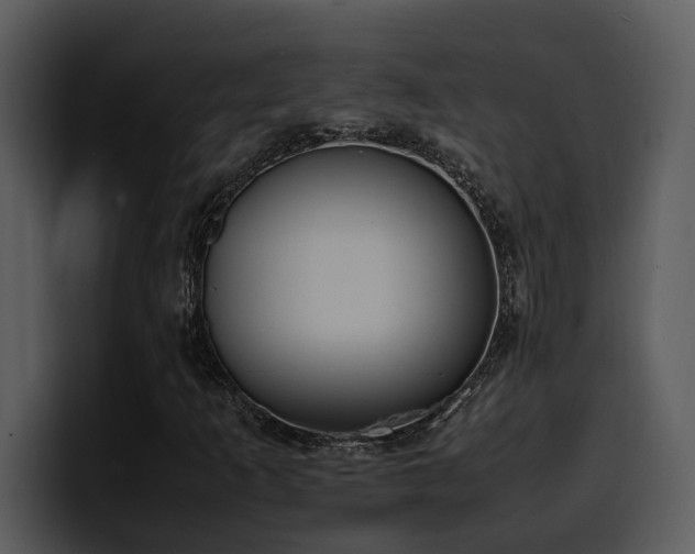 X0000100771253200806191234