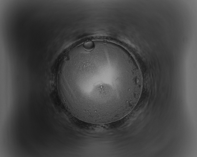 X0000100771255200806191234
