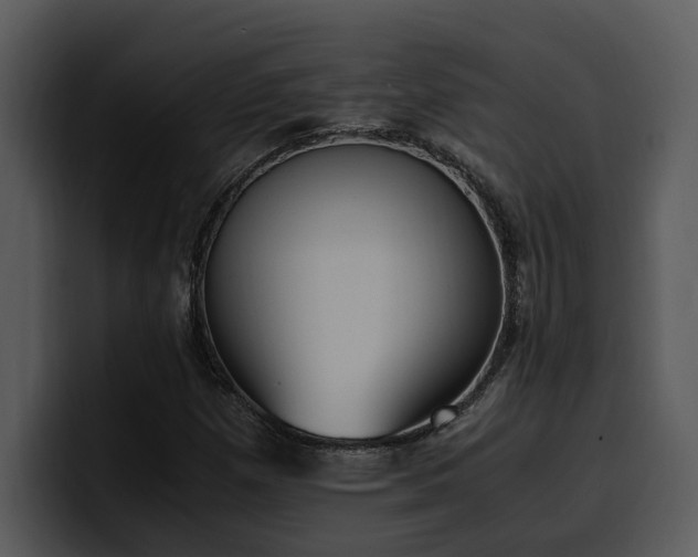 X0000100771257200806191234