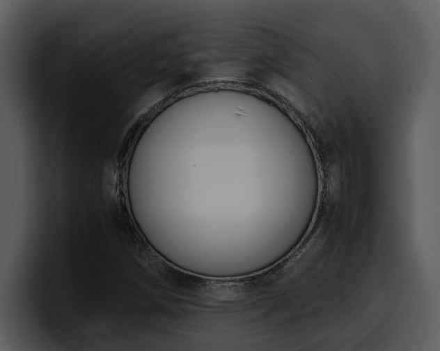 X0000100771258200806191234