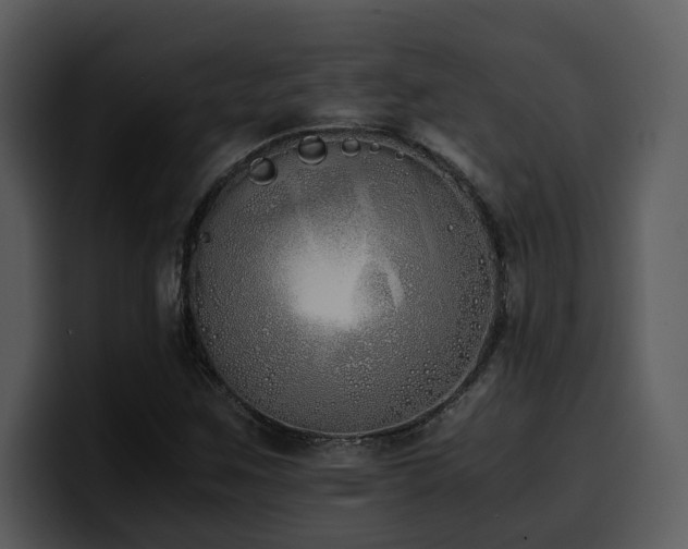 X0000100771259200806191234