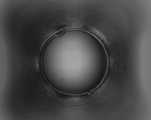 X0000100771260200806191234