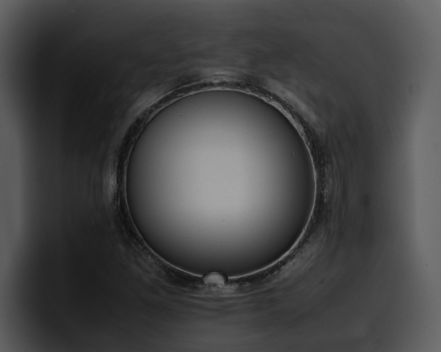 X0000100771261200806191234