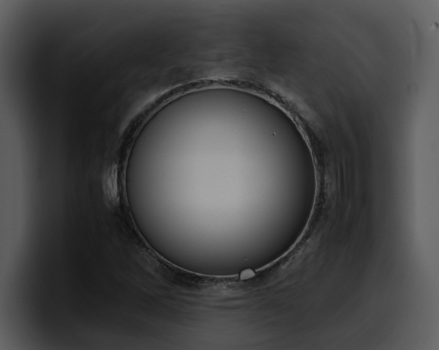 X0000100771262200806191234