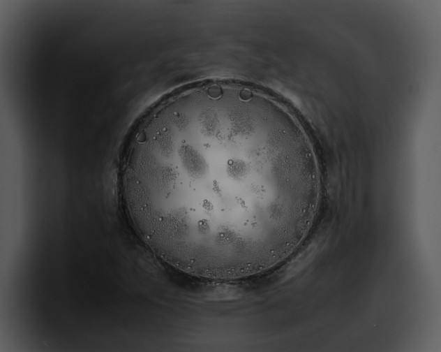 X0000100771263200806191234