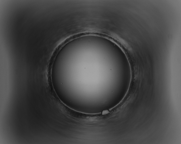 X0000100771264200806191234