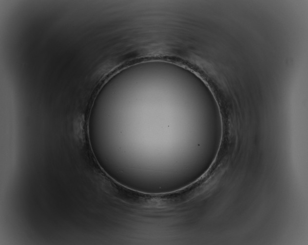 X0000100771265200806191234