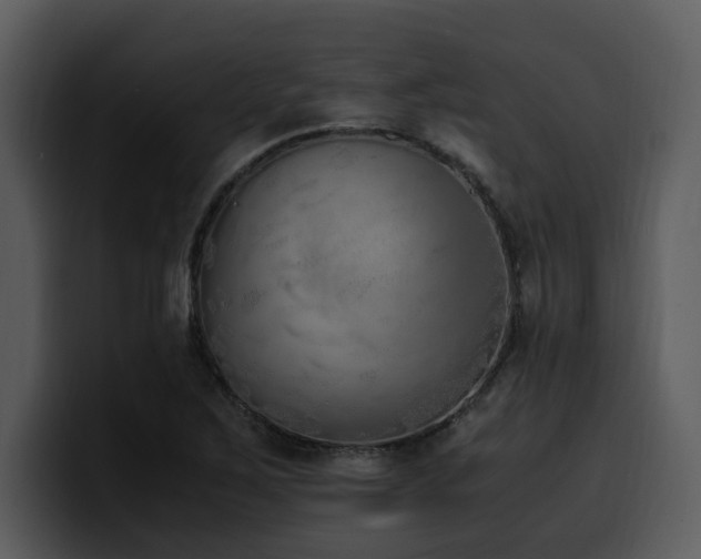 X0000100771267200806191234