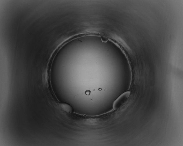 X0000100771268200806191234