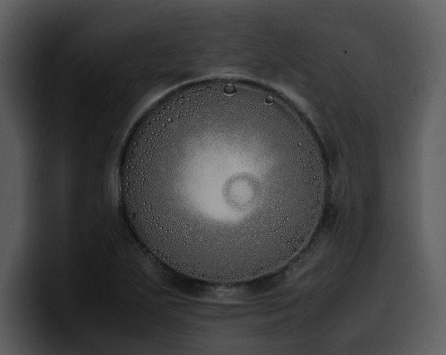 X0000100771271200806191234