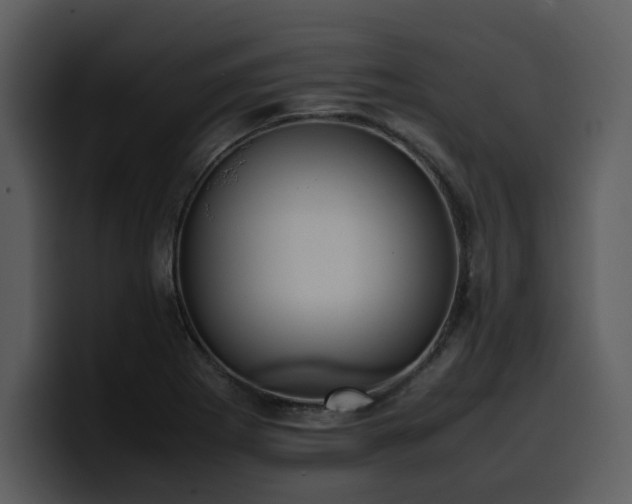 X0000100771273200806191234