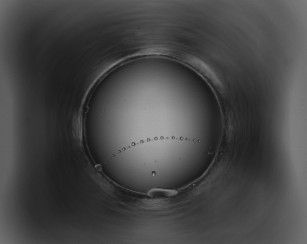 X0000100771276200806191234