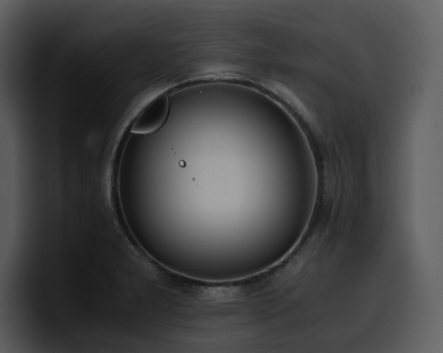 X0000100771277200806191234